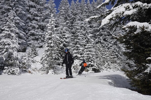 Bilder von der Skifreizeit 2025. Es sind zwei Personen zu sehen die durch einen Wald Ski fahren.