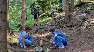 Bild zeigt Kinder bei der Freizeit 6 days, die im Wald eine Murmelbahn bauen.